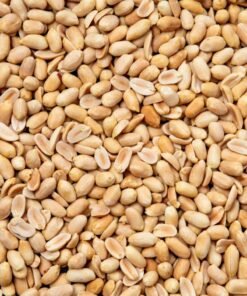 Maní tostado sin sal - 1 kg