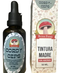 Cordiceps - Reina Fungi (50 ml)