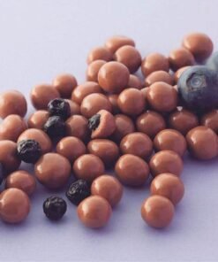 Arándanos bañados en chocolate - Argenfrut (100 gr)